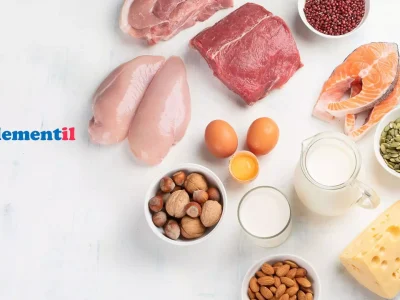 Protein hangi besinlerde bulunur