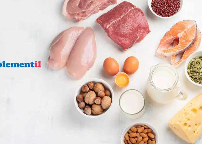 Protein hangi besinlerde bulunur